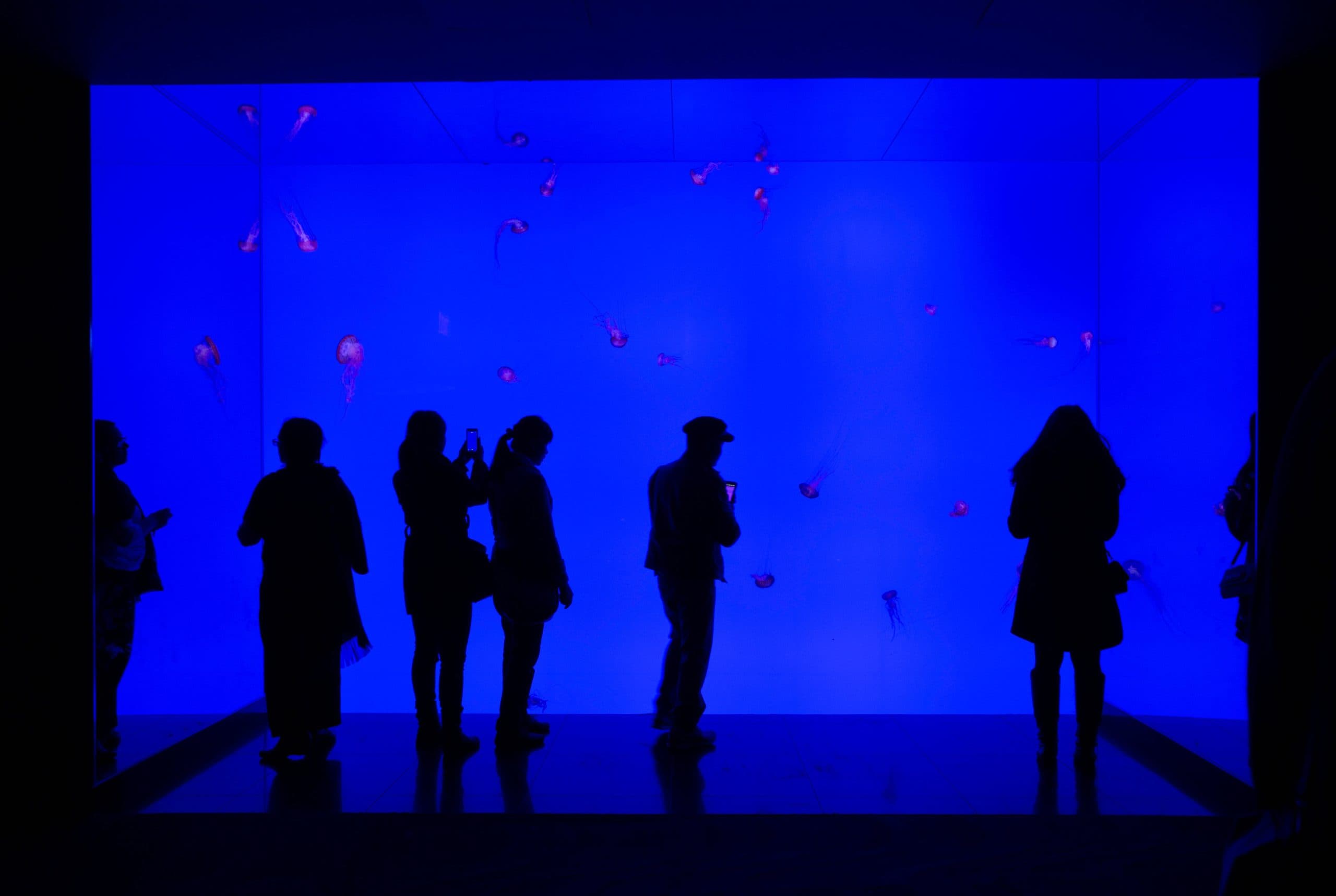 The Psychology of Light: How Lighting Shapes Mood and Well-Being