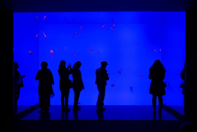 The Psychology of Light: How Lighting Shapes Mood and Well-Being