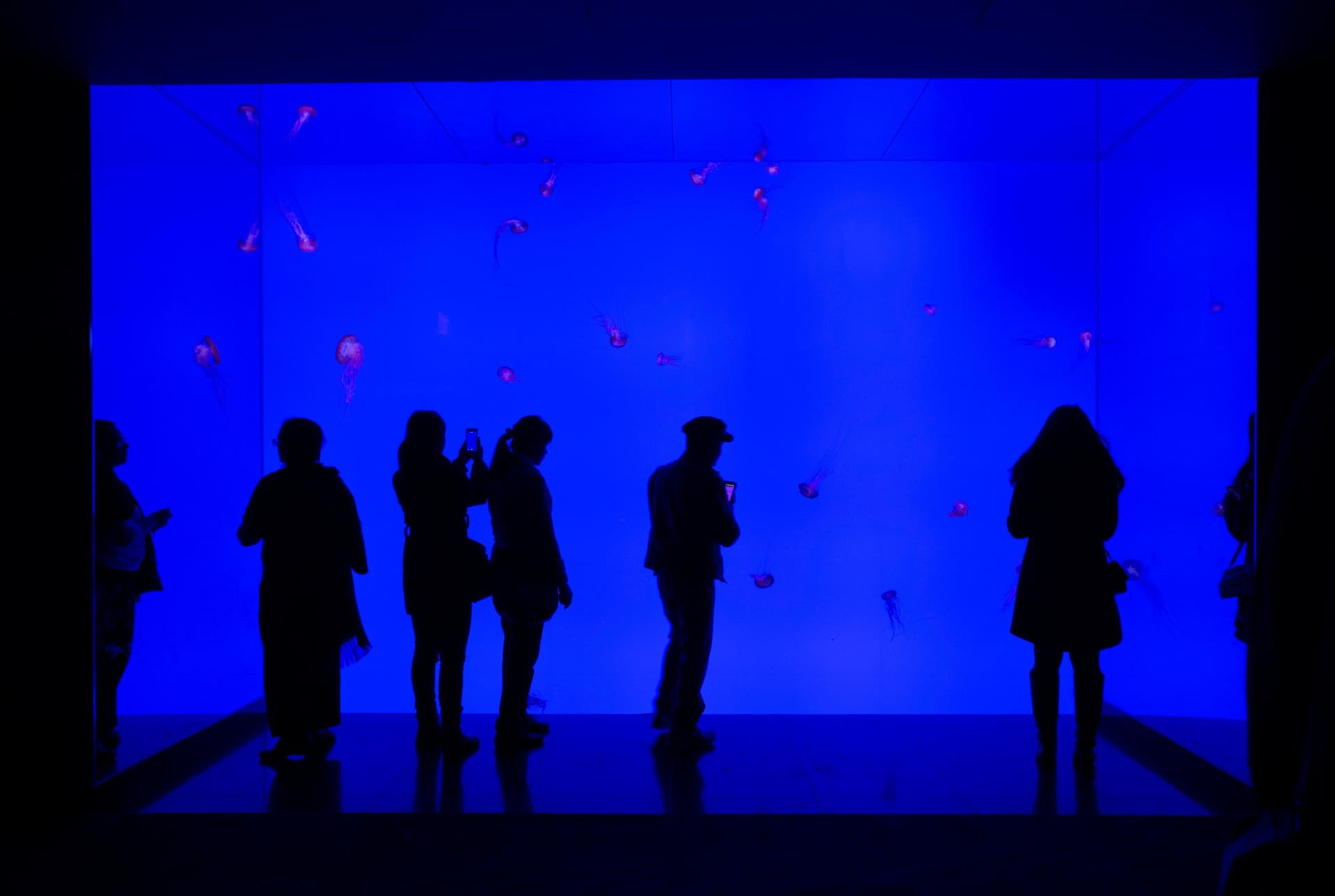 The Psychology of Light: How Lighting Shapes Mood and Well-Being